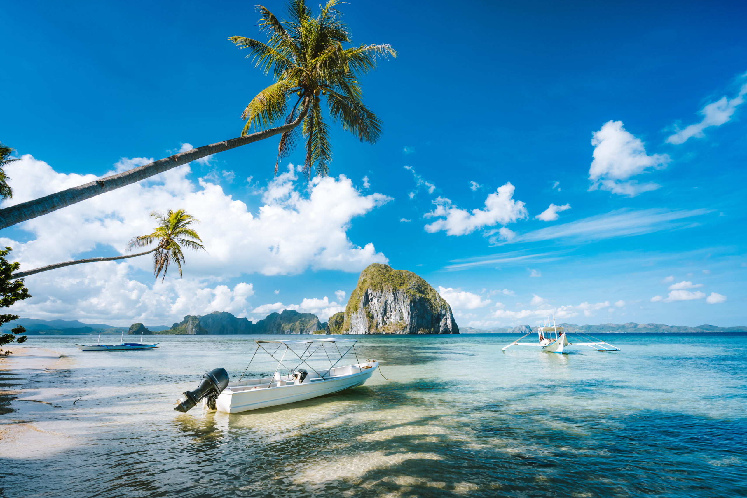 Exotic tropical seascape with palm tree, jetty pier, boats, blue sky and white clouds.